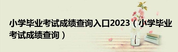 小学毕业考试成绩查询入口2023（小学毕业考试成绩查询）