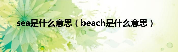 sea是什么意思（beach是什么意思）