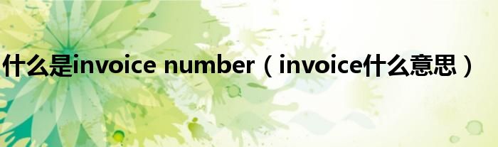 什么是invoice number（invoice什么意思）