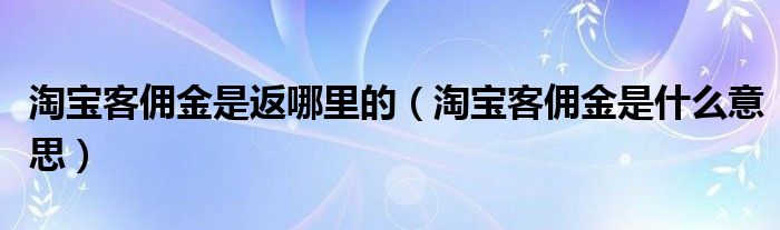 淘宝客佣金是返哪里的（淘宝客佣金是什么意思）