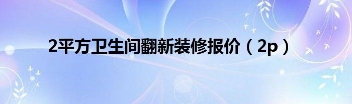 2平方卫生间翻新装修报价（2p）