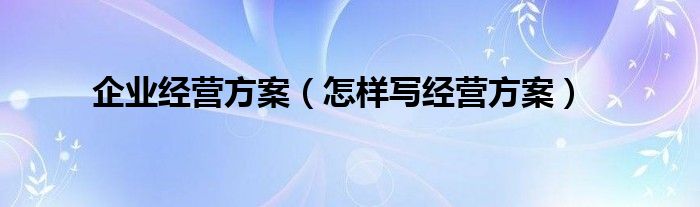 企业经营方案（怎样写经营方案）