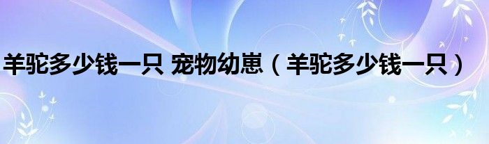 羊驼多少钱一只 宠物幼崽（羊驼多少钱一只）