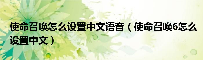 使命召唤怎么设置中文语音（使命召唤6怎么设置中文）