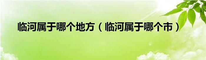 临河属于哪个地方（临河属于哪个市）