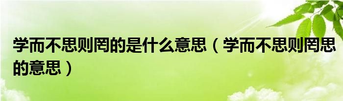 学而不思则罔的是什么意思（学而不思则罔思的意思）