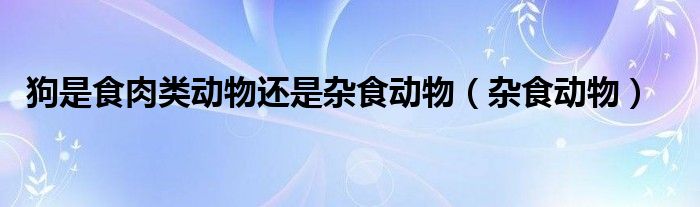 狗是食肉类动物还是杂食动物（杂食动物）