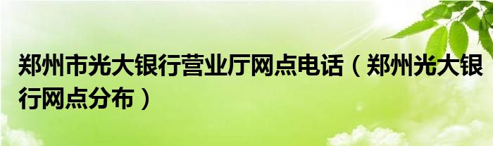 郑州市光大银行营业厅网点电话（郑州光大银行网点分布）