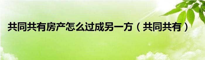 共同共有房产怎么过成另一方（共同共有）