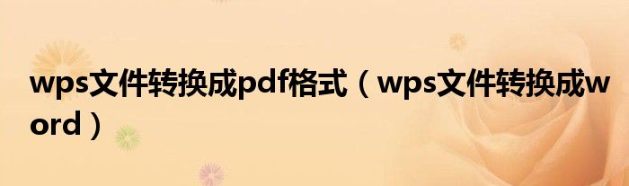 wps文件转换成pdf格式（wps文件转换成word）