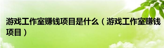 游戏工作室赚钱项目是什么（游戏工作室赚钱项目）