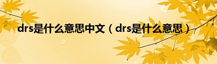 drs是什么意思中文（drs是什么意思）