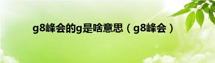 g8峰会的g是啥意思（g8峰会）