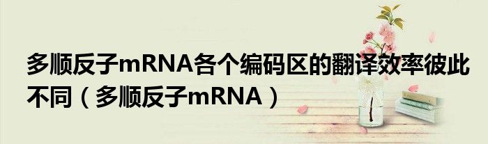 多顺反子mRNA各个编码区的翻译效率彼此不同（多顺反子mRNA）