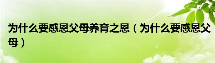 为什么要感恩父母养育之恩（为什么要感恩父母）