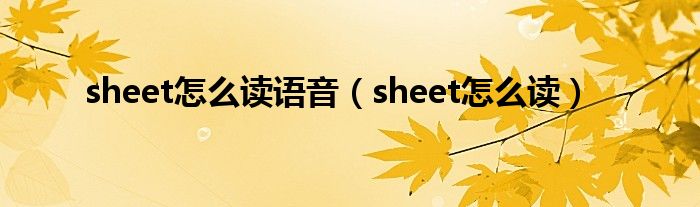 sheet怎么读语音（sheet怎么读）