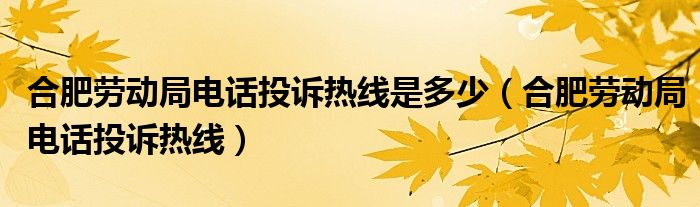 合肥劳动局电话投诉热线是多少（合肥劳动局电话投诉热线）