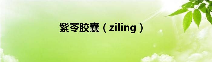 紫苓胶囊（ziling）