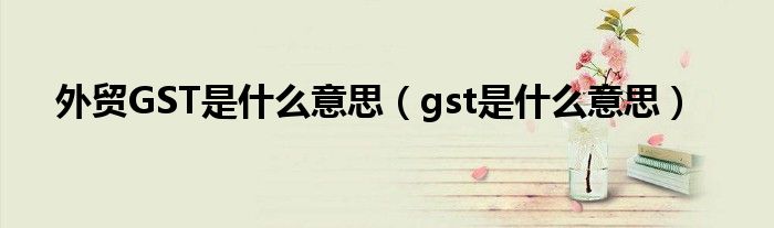 外贸GST是什么意思（gst是什么意思）