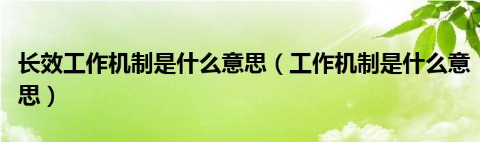 长效工作机制是什么意思（工作机制是什么意思）