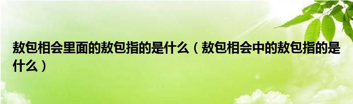 敖包相会里面的敖包指的是什么（敖包相会中的敖包指的是什么）