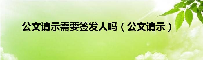 公文请示需要签发人吗（公文请示）