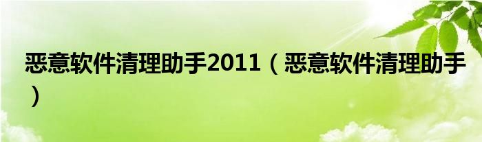 恶意软件清理助手2011（恶意软件清理助手）