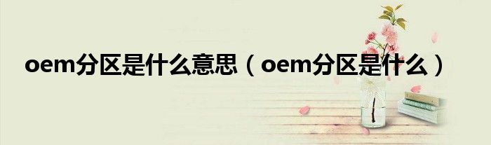 oem分区是什么意思（oem分区是什么）