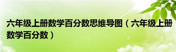 六年级上册数学百分数思维导图（六年级上册数学百分数）