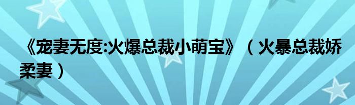 《宠妻无度:火爆总裁小萌宝》（火暴总裁娇柔妻）