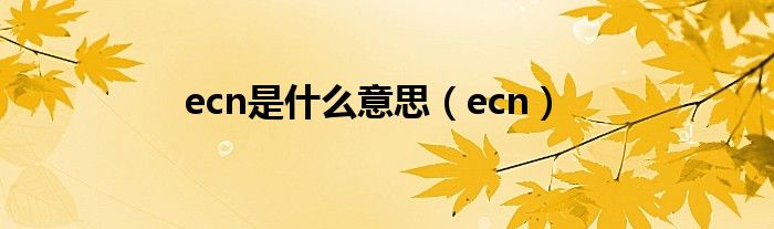 ecn是什么意思（ecn）