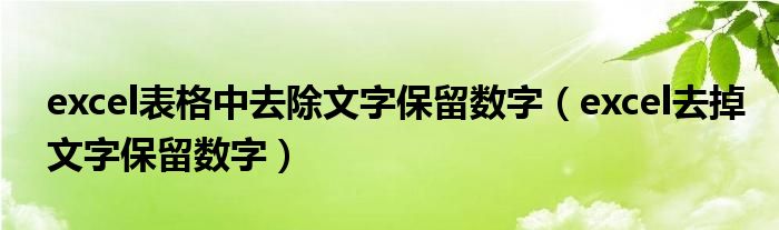 excel表格中去除文字保留数字（excel去掉文字保留数字）