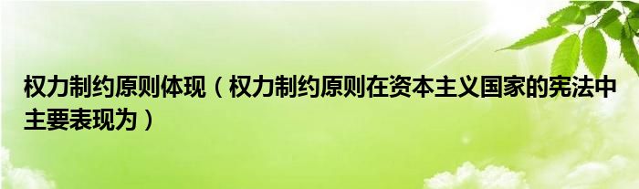 权力制约原则体现（权力制约原则在资本主义国家的宪法中主要表现为）