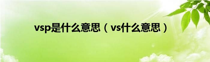 vsp是什么意思（vs什么意思）