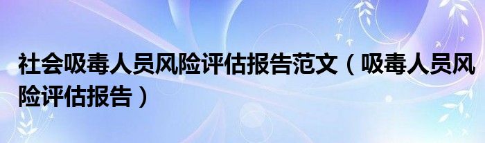 社会吸毒人员风险评估报告范文（吸毒人员风险评估报告）