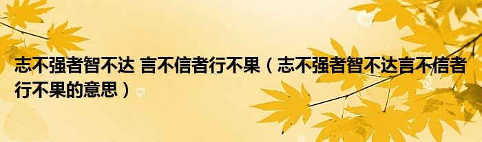 志不强者智不达 言不信者行不果（志不强者智不达言不信者行不果的意思）