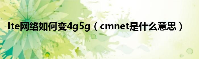 lte网络如何变4g5g（cmnet是什么意思）