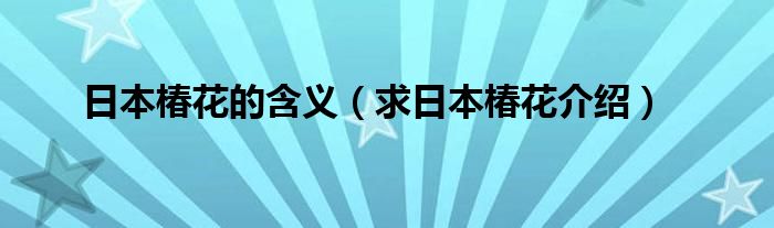 日本椿花的含义（求日本椿花介绍）