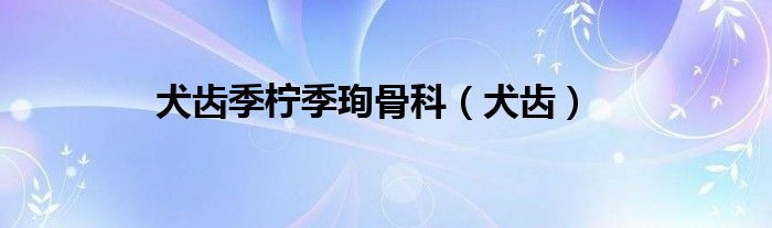 犬齿季柠季珣骨科（犬齿）