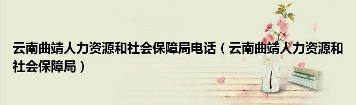 云南曲靖人力资源和社会保障局电话（云南曲靖人力资源和社会保障局）