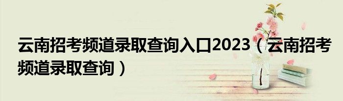 云南招考频道录取查询入口2023（云南招考频道录取查询）