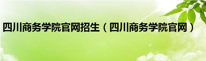 四川商务学院官网招生（四川商务学院官网）