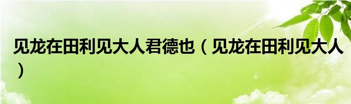 见龙在田利见大人君德也（见龙在田利见大人）