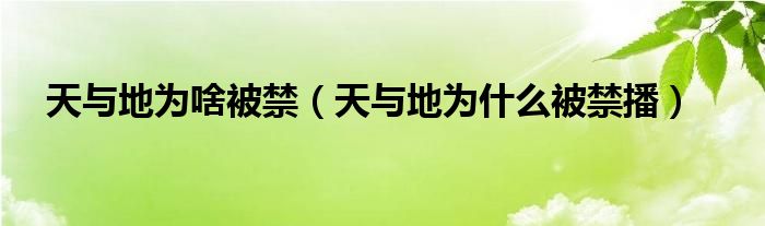 天与地为啥被禁（天与地为什么被禁播）