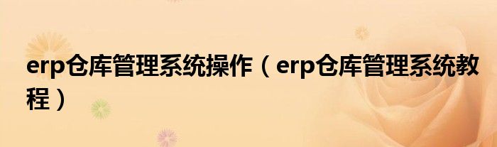 erp仓库管理系统操作（erp仓库管理系统教程）