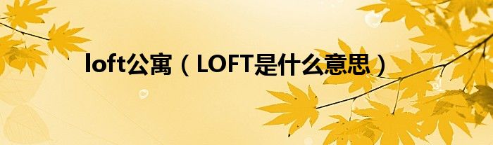 loft公寓（LOFT是什么意思）