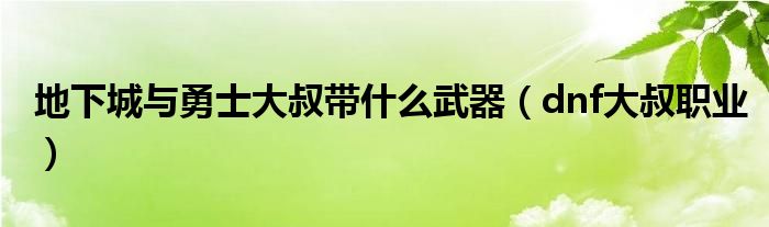 地下城与勇士大叔带什么武器（dnf大叔职业）