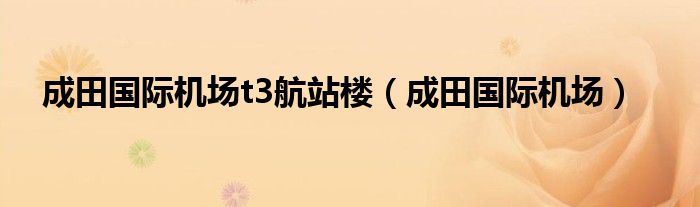 成田国际机场t3航站楼（成田国际机场）