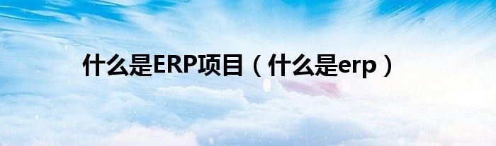 什么是ERP项目（什么是erp）