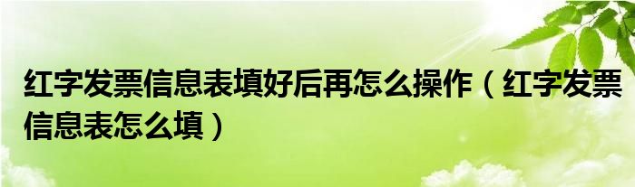 红字发票信息表填好后再怎么操作（红字发票信息表怎么填）